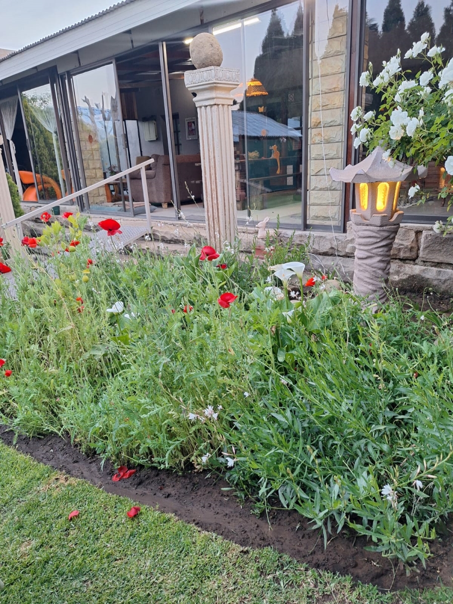 4 Bedroom Property for Sale in Senekal Free State